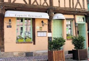 Le capucin gourmand1